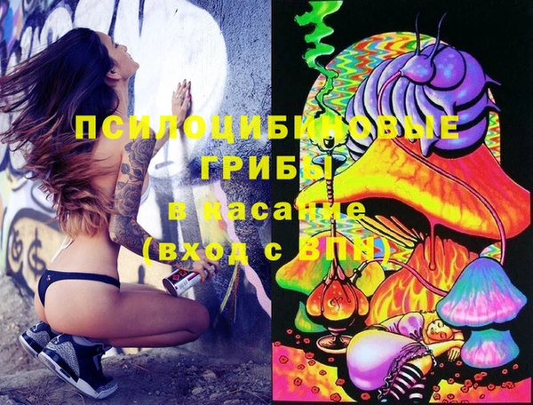 PSILOCYBIN Алексеевка
